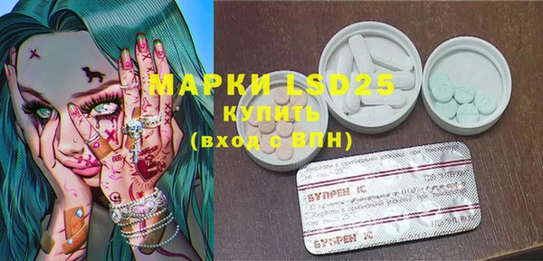 индика Богданович