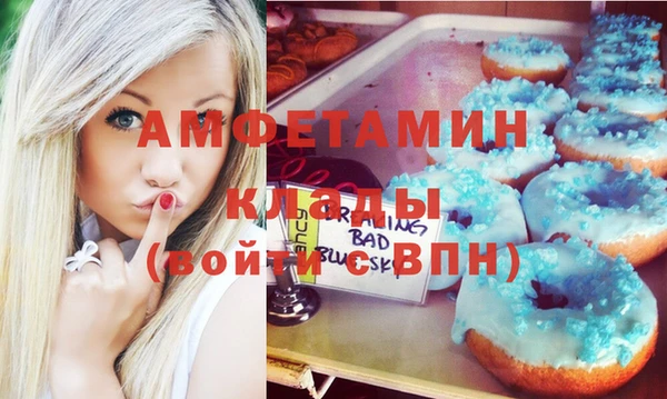 гидра Бронницы