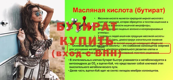 прущие грибы Сосновый Бор