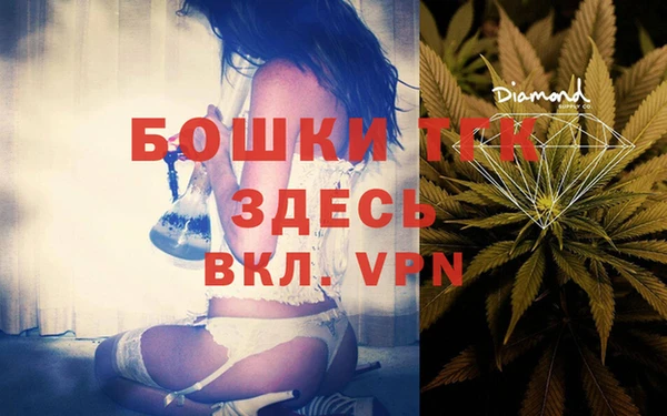 индика Богданович