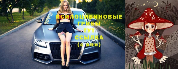 гидра Бородино