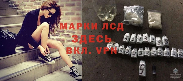 прущие грибы Сосновый Бор