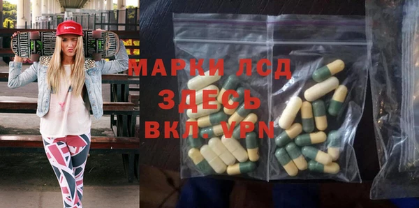 индика Богданович