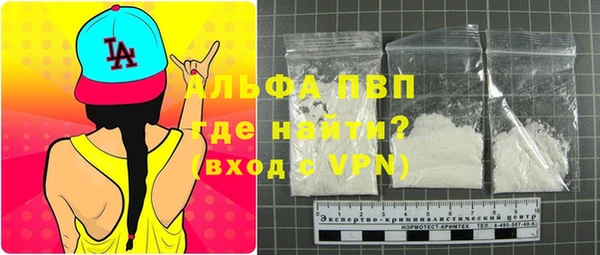 индика Богданович