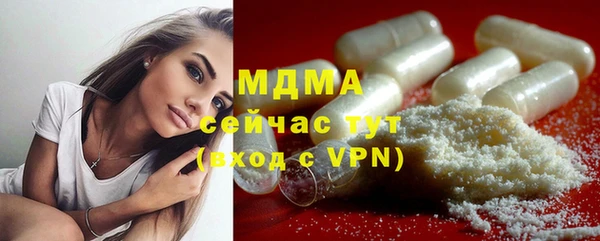 прущие грибы Сосновый Бор