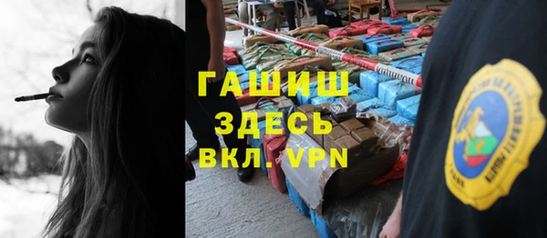 индика Богданович