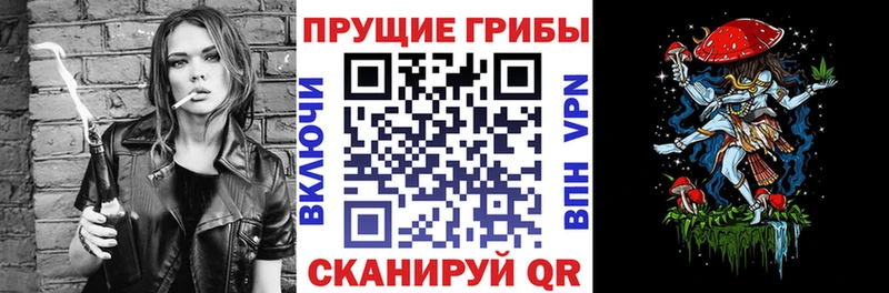 Псилоцибиновые грибы Magic Shrooms  закладки  Донецк 